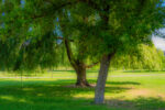 Belarus, Brest, im Stadtpark