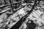 Belarus, Weg des Todes im Wald bei Domatschewo